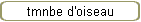 tmnbe d'oiseau