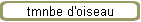 tmnbe d'oiseau