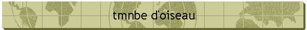 tmnbe d'oiseau